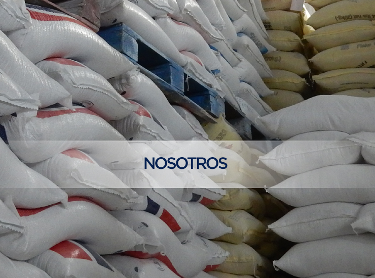 Nosotros